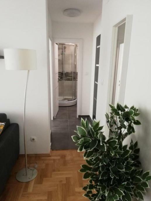 Apartments Ali Zagreb Eksteriør billede